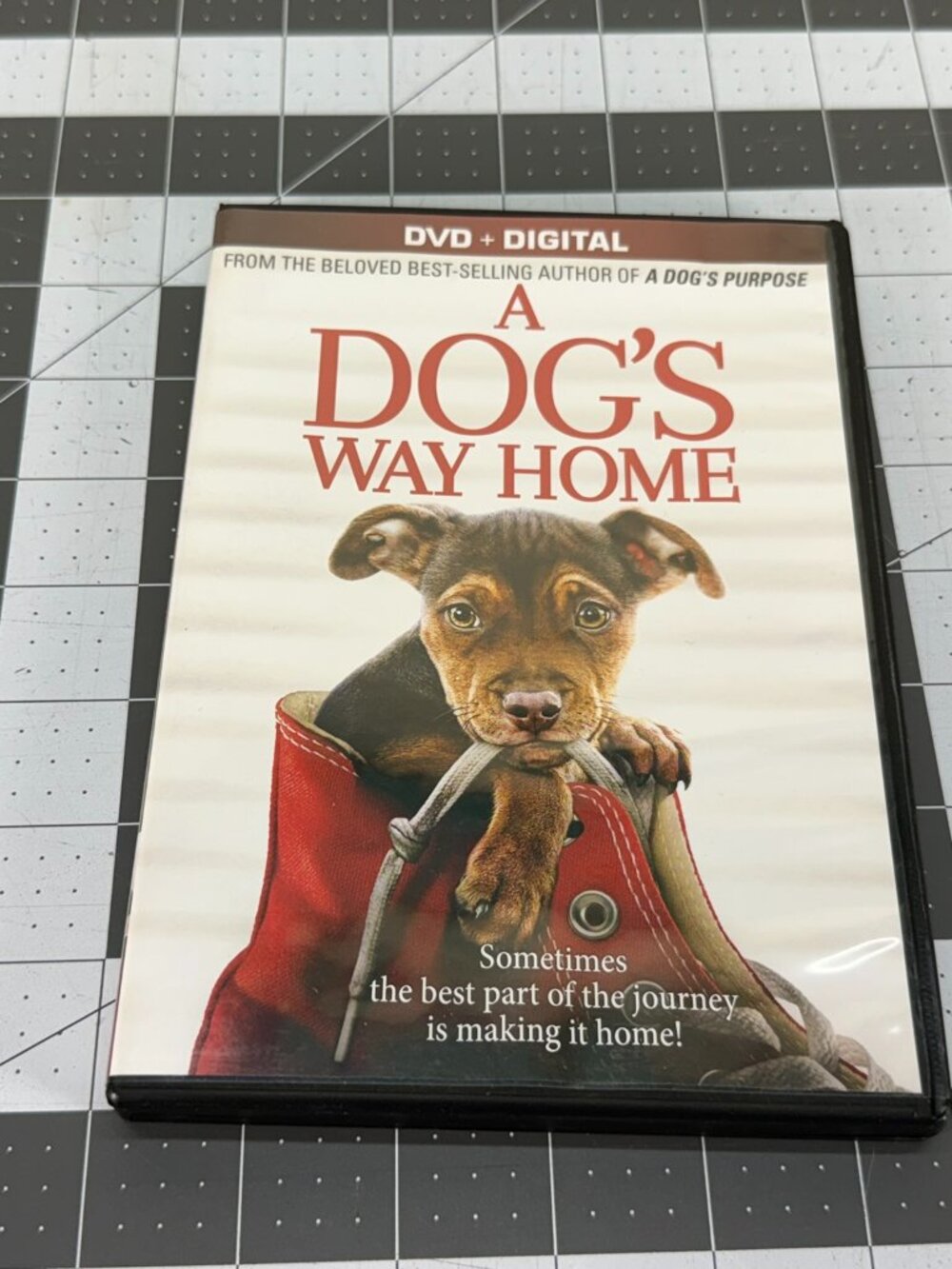 A Dogs Way Home 2019 Family Adventure DVD Movie - Pristine Condition